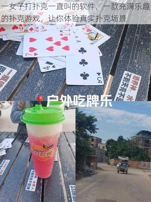 一女子打扑克一直叫的软件,一款充满乐趣的扑克游戏,让你体验真实扑克场景