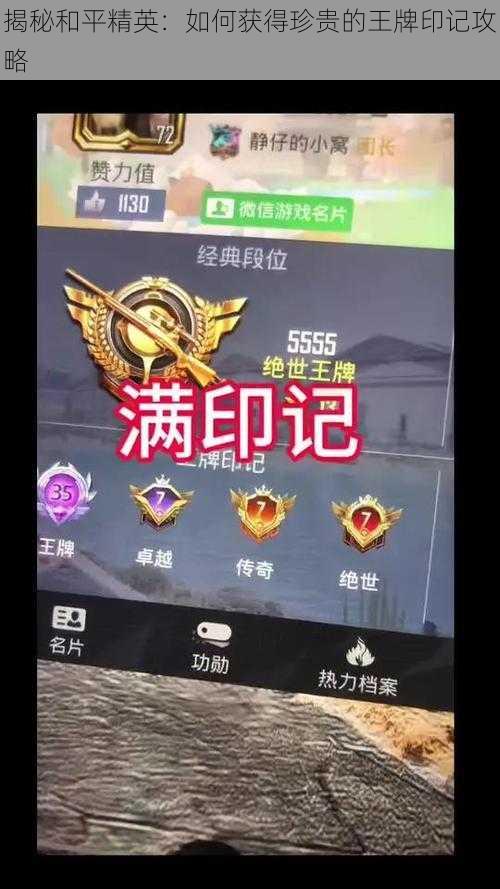 揭秘和平精英:如何获得珍贵的王牌印记攻略