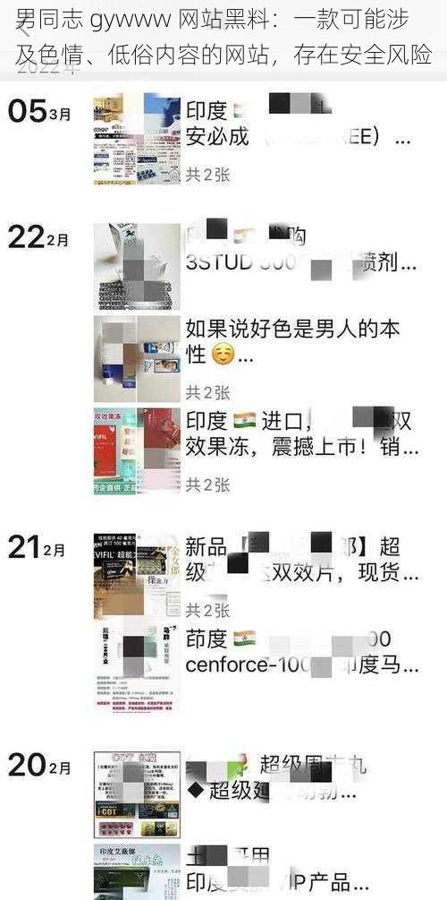 男同志 gywww 网站黑料:一款可能涉及色情、低俗内容的网站,存在安全风险