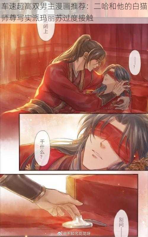 车速超高双男主漫画推荐:二哈和他的白猫师尊写实派玛丽苏过度接触