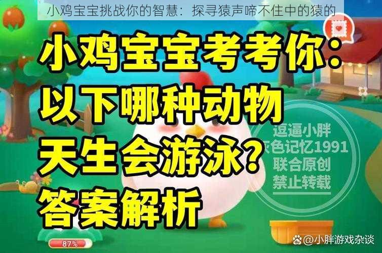 小鸡宝宝挑战你的智慧:探寻猿声啼不住中的猿的