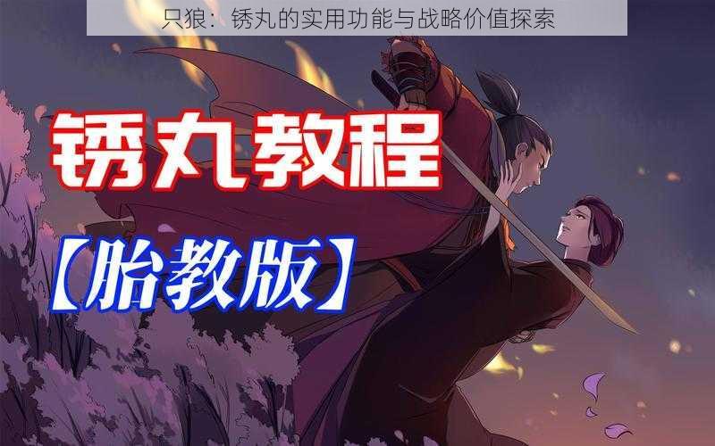 只狼:锈丸的实用功能与战略价值探索